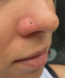 Buddha Jewelry Organics Conch Bead Solid Gold