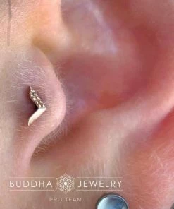 Buddha Jewelry Organics Conch Vortex - Threadless End