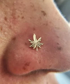 Buddha Jewelry Organics Kush - Threadless End Conch