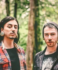 Buddha Jewelry Organics Althea Plugs - Brass + Coral Inlay Stetched Ears